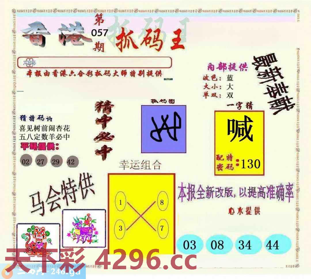 ：新抓码王